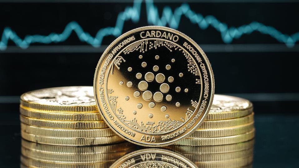 cardano_getty_creative.jpeg