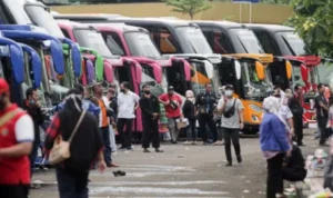 Libur Nataru dengan Bus