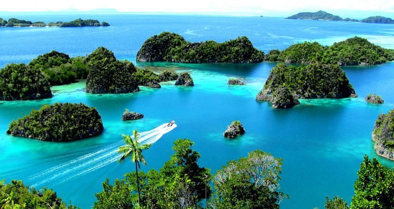 Travel ke Raja Ampat